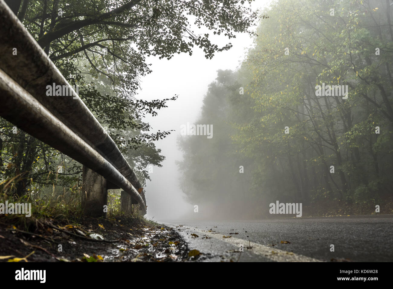 Wet road in the forest, fence and roadside horizontal Stock Photo
