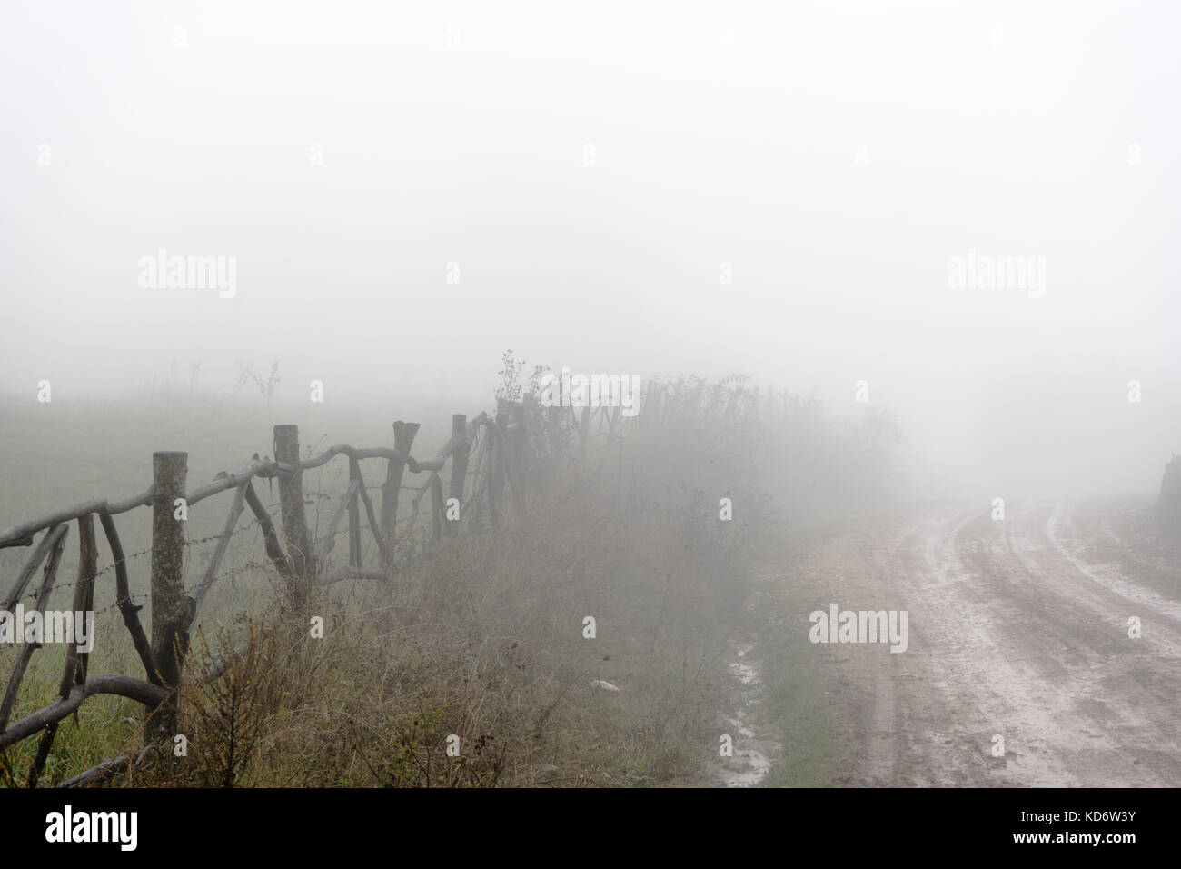 Uneven road, hedge, fog in the Armenian village closeup horizontal Stock Photo