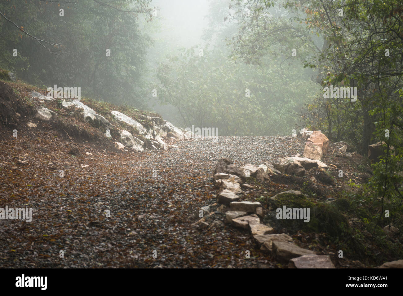 Village road with a stone fence through the forest horizontal Stock Photo