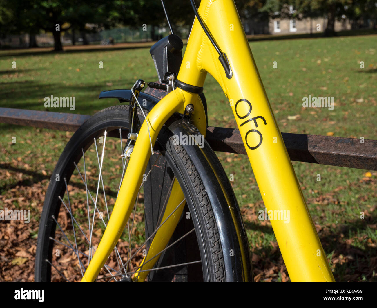 ofo yellow bike