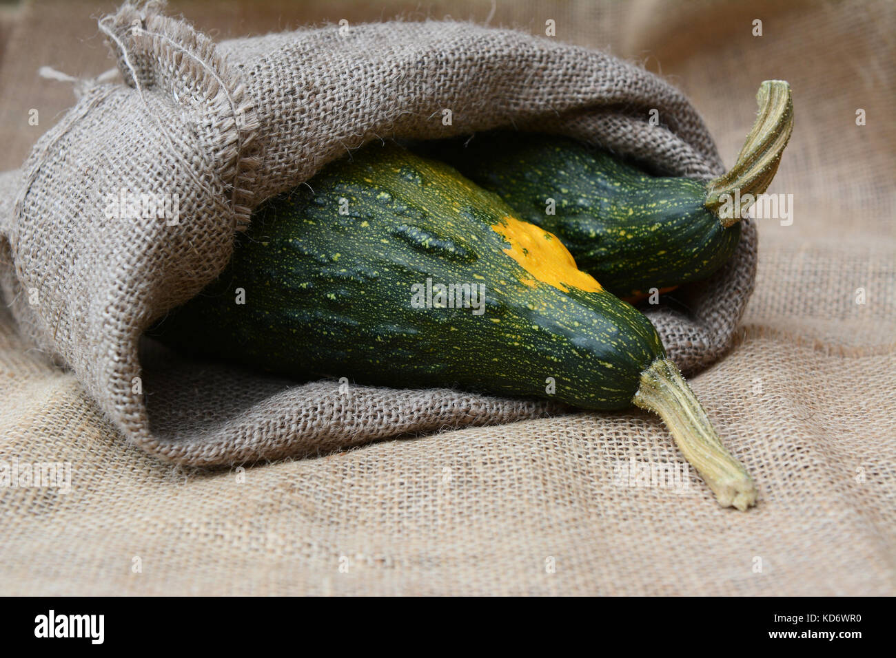 Large green and yellow ornamental gourds in a jute sack on hessian