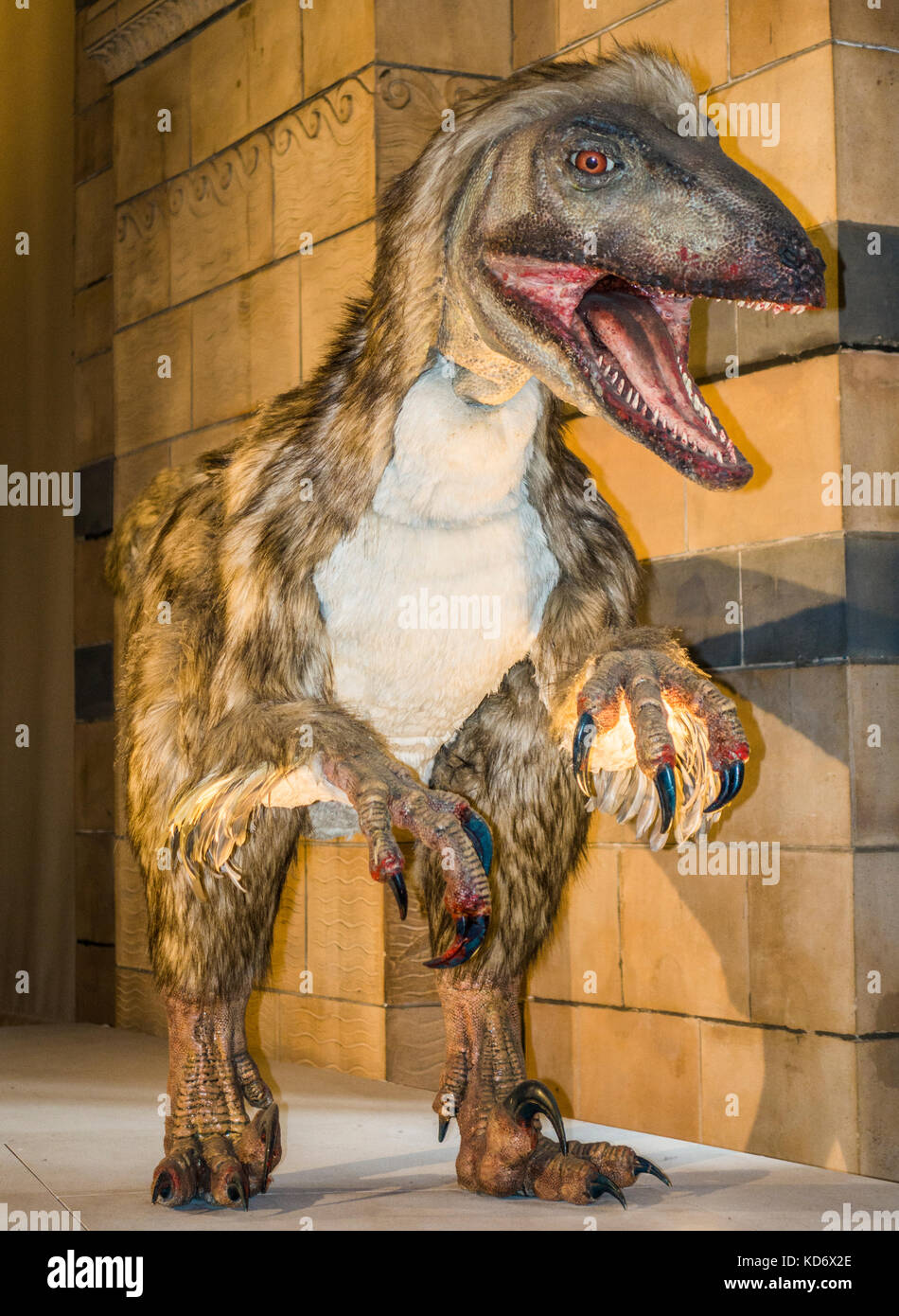 Deinonychus Stock Photo - Download Image Now - Deinonychus, Dinosaur,  Feather - iStock