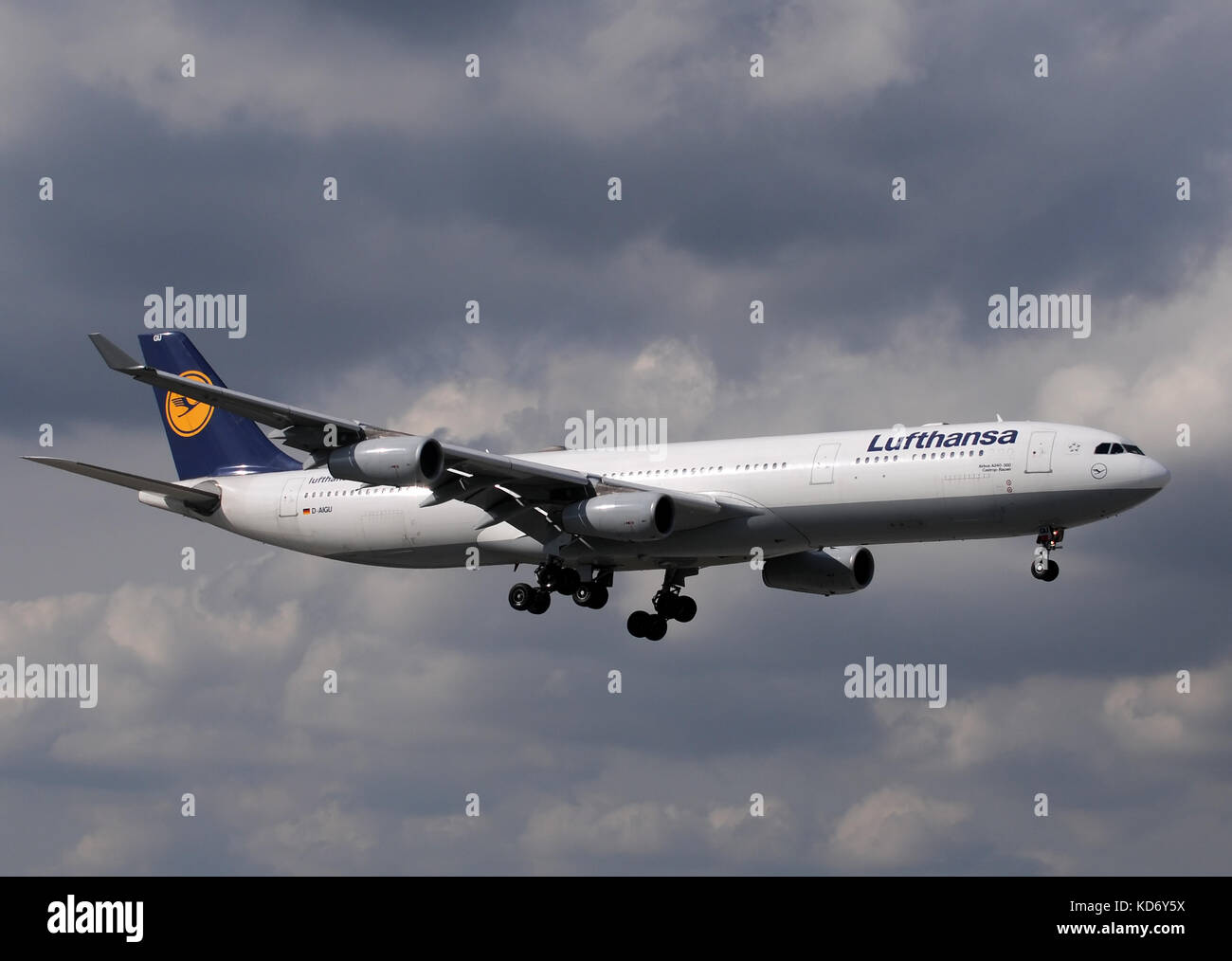 Miami, Florida - January 30, 2011: Lufthansa's Airbus A-340 widebody passenger jet landing in Miami after a flight from Germany. Miami is a popular de Stock Photo