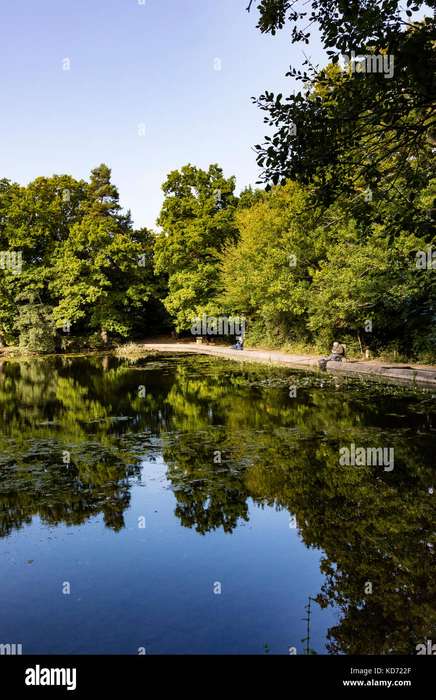 Anglers on the Lilly ponds at Keston Common a popular fishing spot, Bromley, London, UK Stock Photo