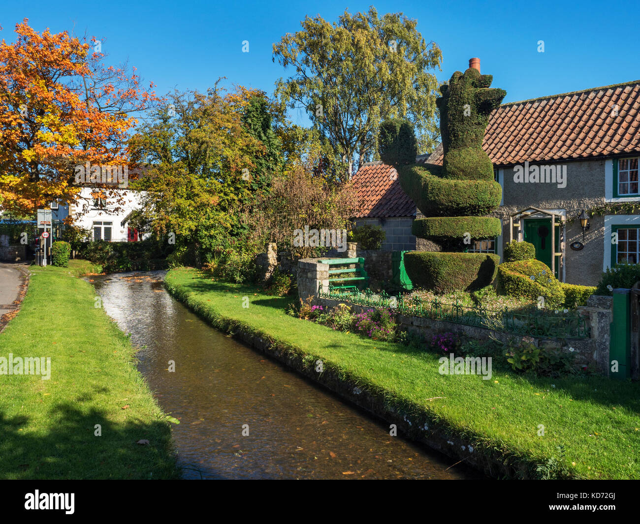 Cottages and Topiary Chicken by the Stream in Monkton North