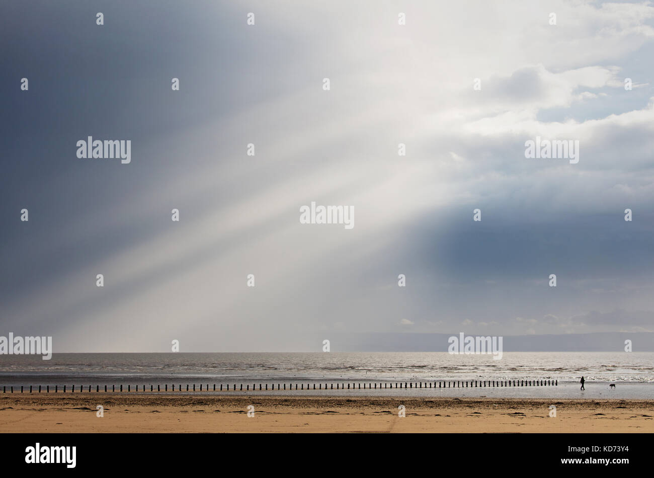 A walker and dog on Brean Beach on the Somerset coast after a passing storm Stock Photo