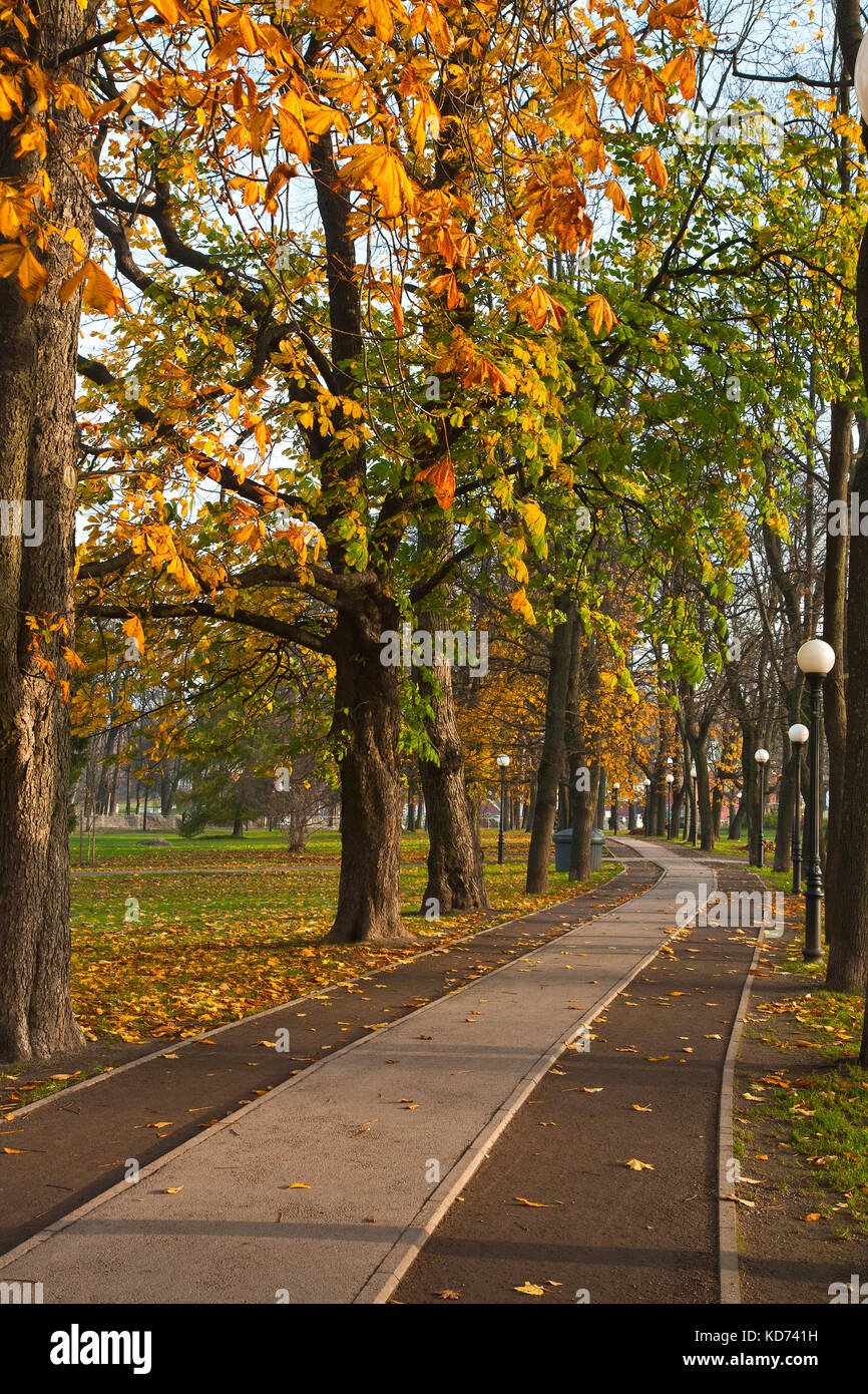Sunny autumn day in the Park Stock Photo - Alamy