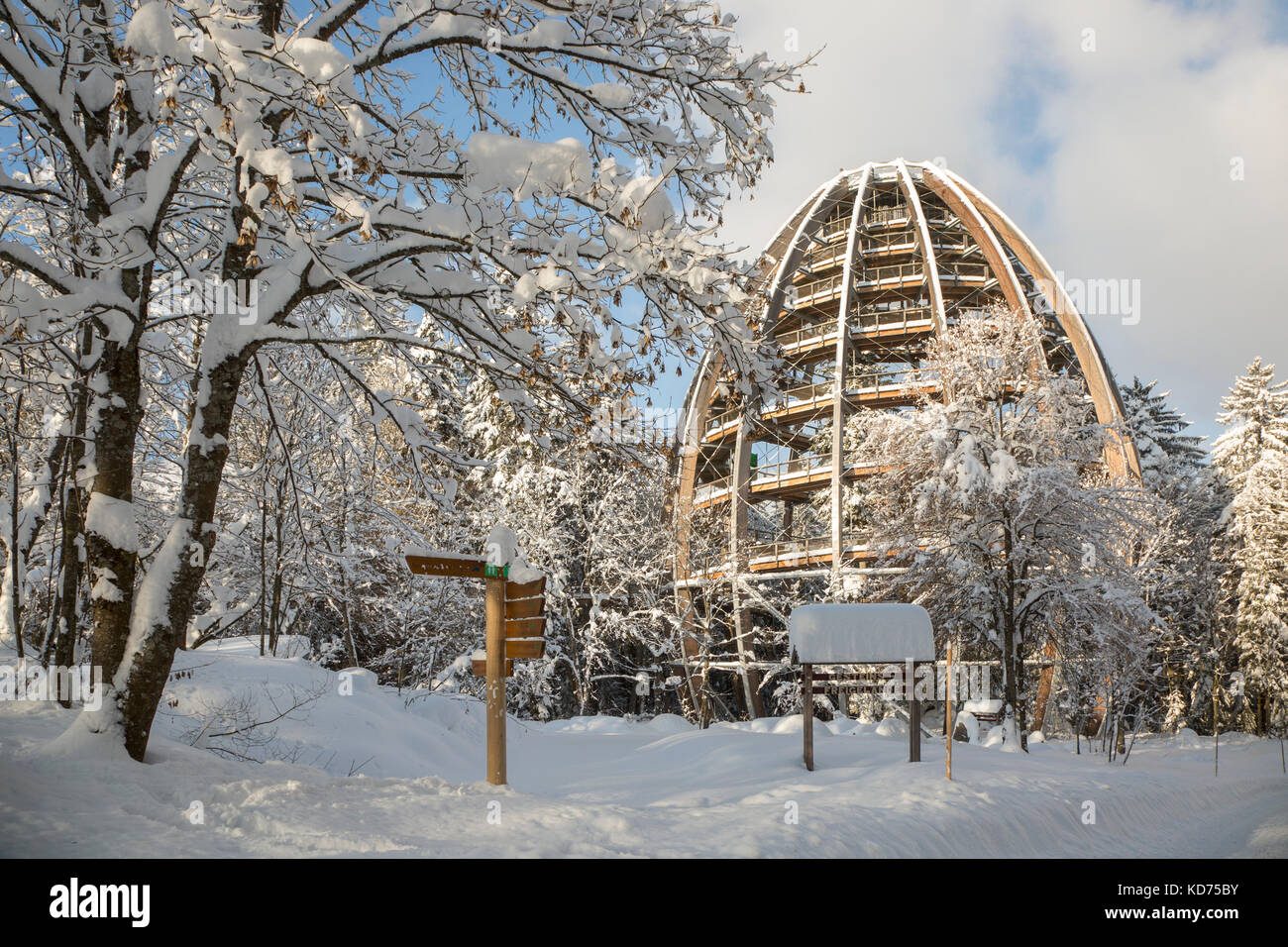 Baumwipfelpfad in winter, wooden tower construction of the world´s longest tree top walk in the Bavarian Forest National Park, Germany Stock Photo
