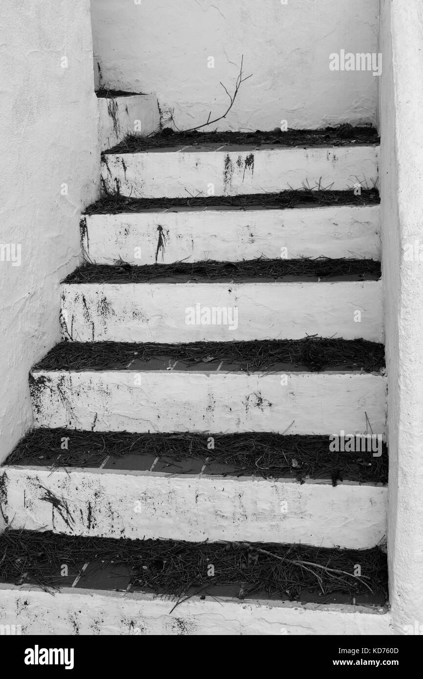 Concrete front steps Black and White Stock Photos & Images - Alamy