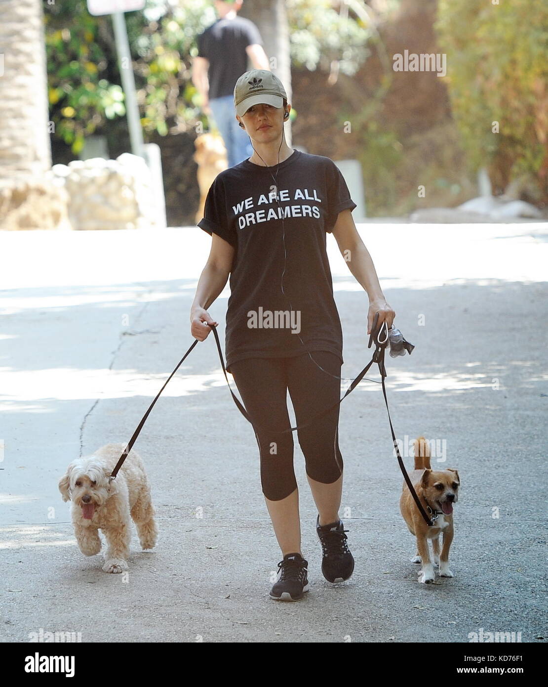 Chewy in hollywood online