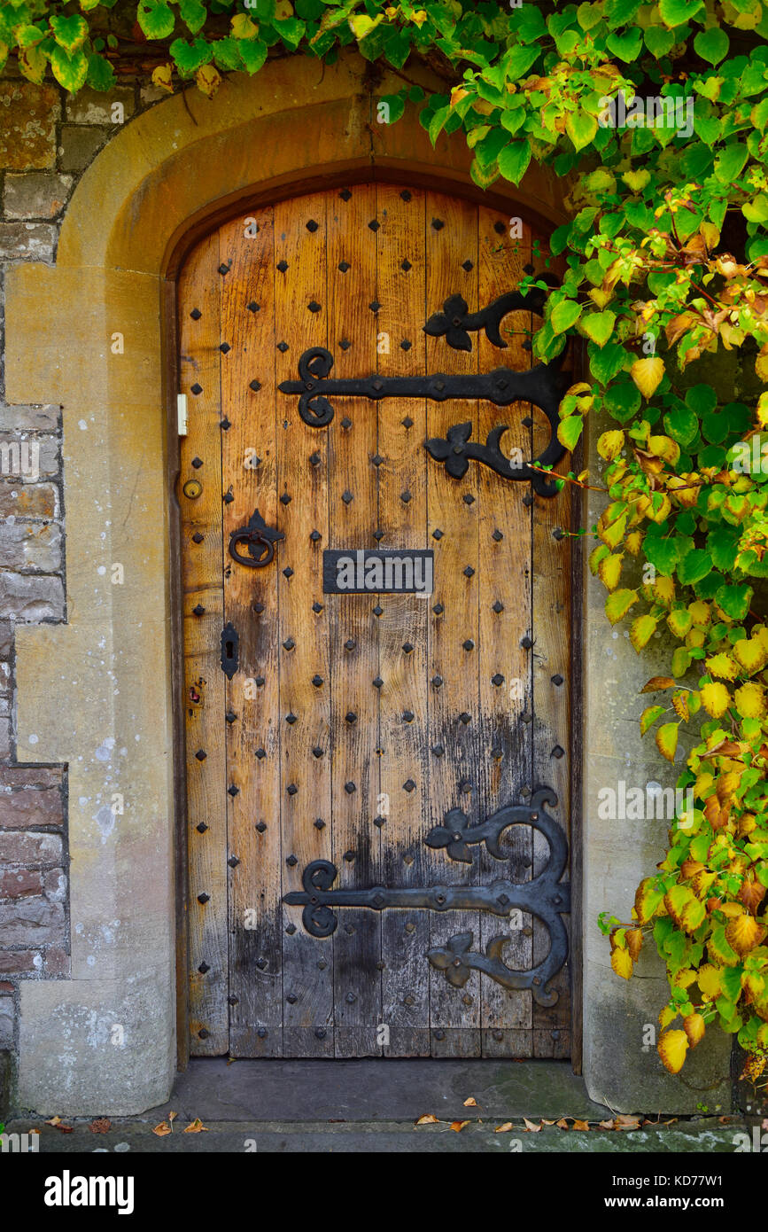 Old heavy wooden door with ornate large hinges, surrounded by climbers Stock Photo