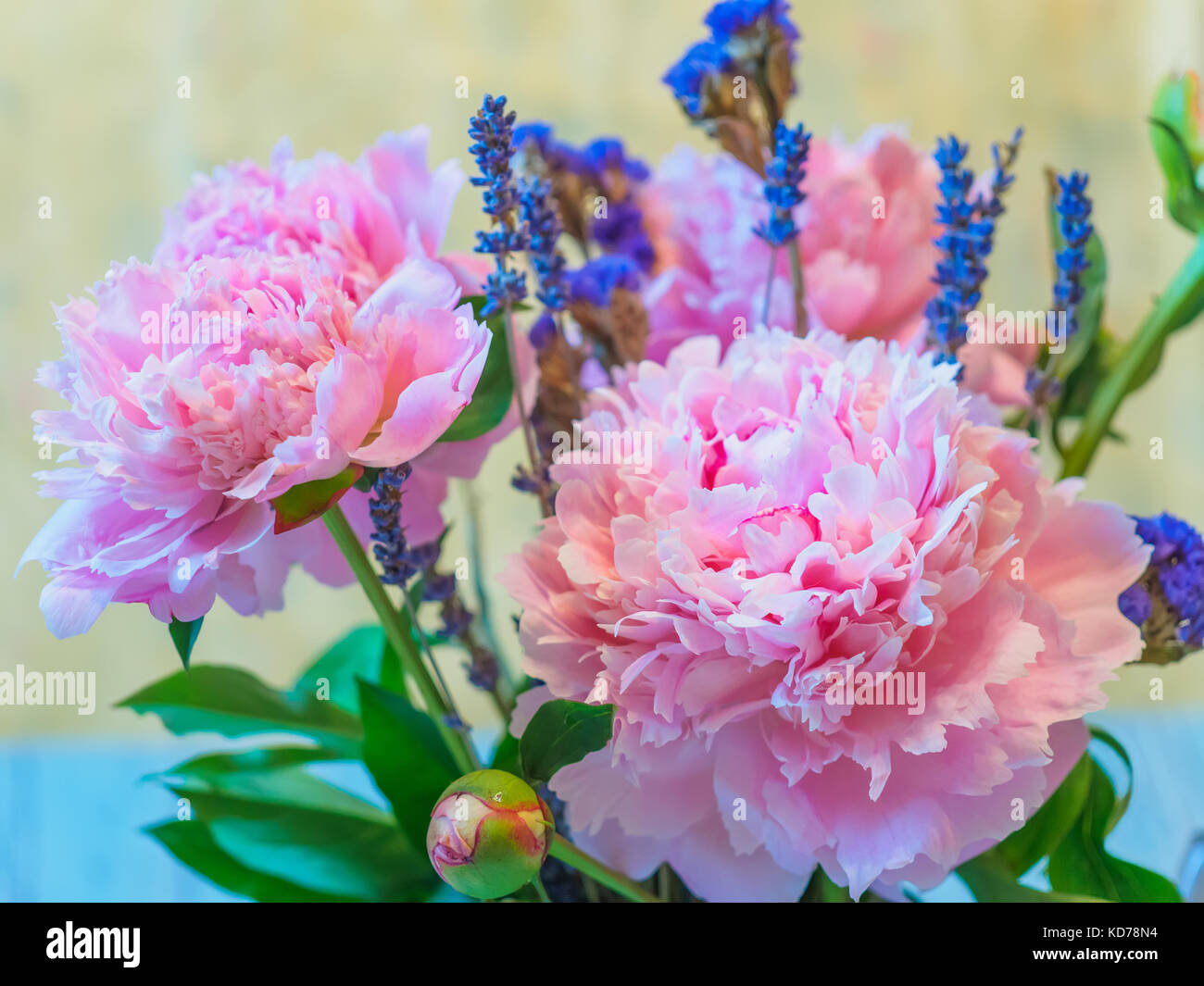 A bouquet of beautiful pink peony and lavender flowers against blurred background. Stock Photo