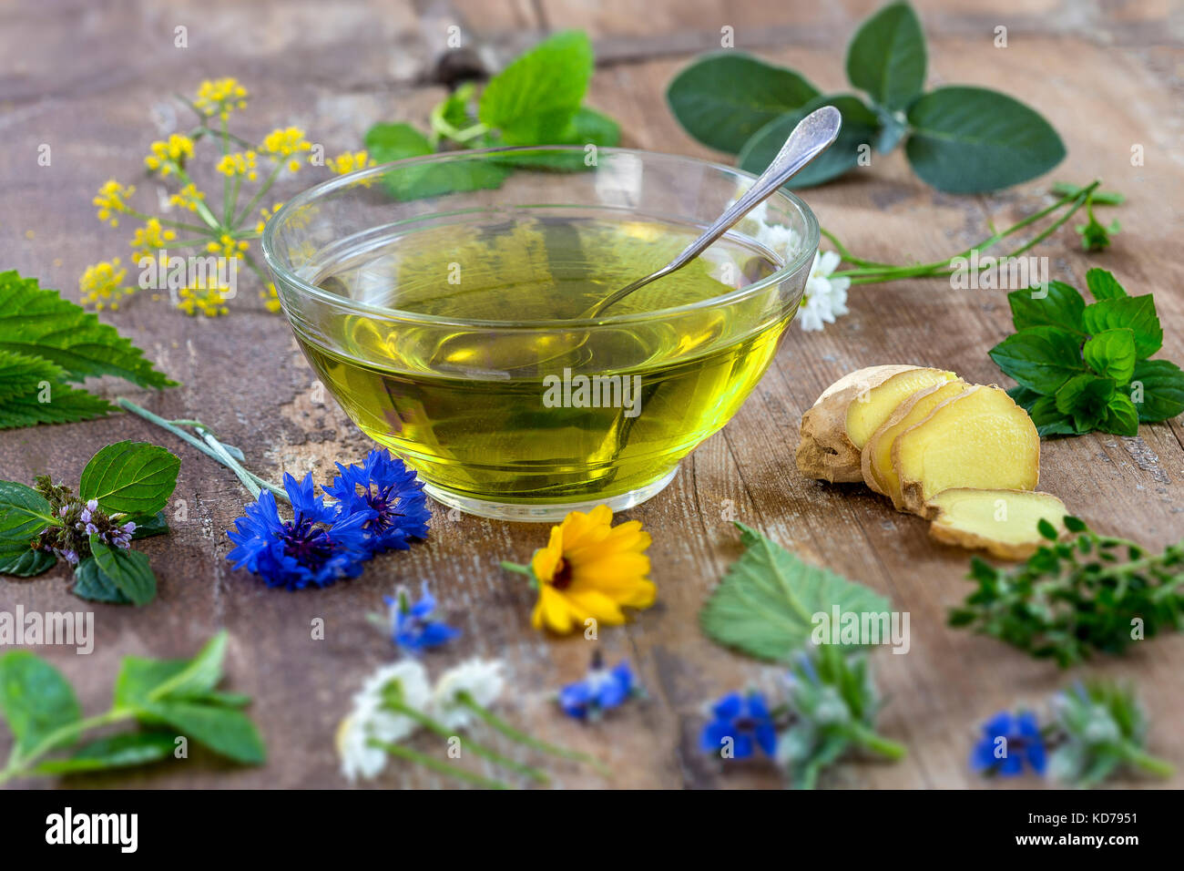 Various dried meadow herbs and herbal tea on old wooden table. fresh medicinal plants and in bundle. Preparing medicinal plants for phytotherapy and health promotion Stock Photo