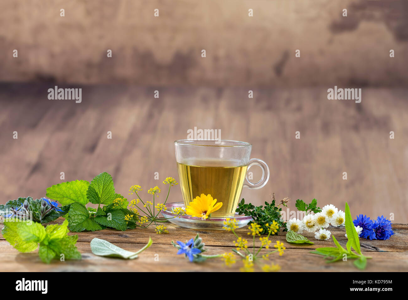Various dried meadow herbs and herbal tea on old wooden table. fresh medicinal plants and in bundle. Preparing medicinal plants for phytotherapy and health promotion Stock Photo