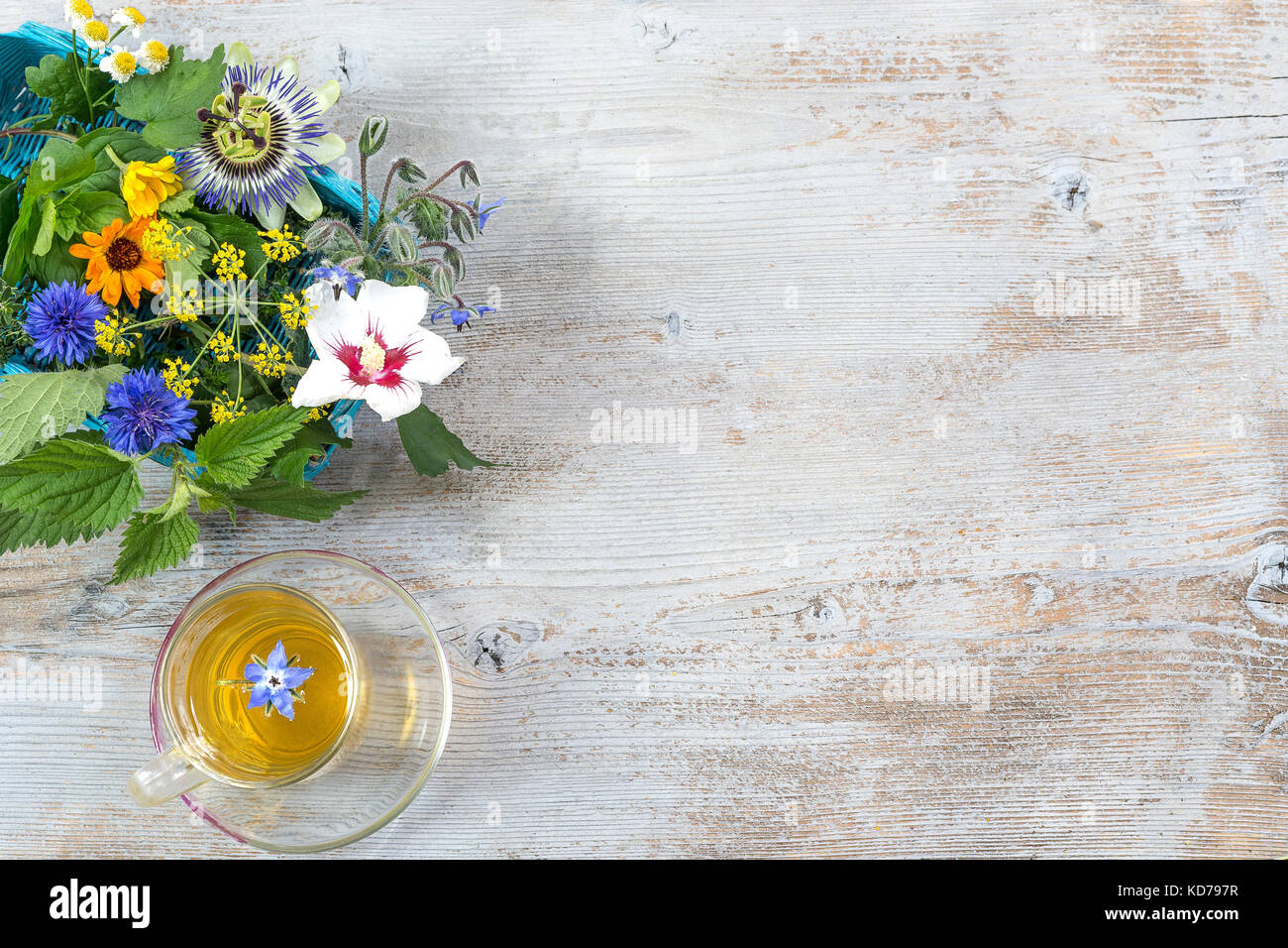 Various fresh herbs and herbal tea on brith wooden table. fresh medicinal plants and in bundle. Preparing medicinal plants for phytotherapy and health promotion, copy space Stock Photo