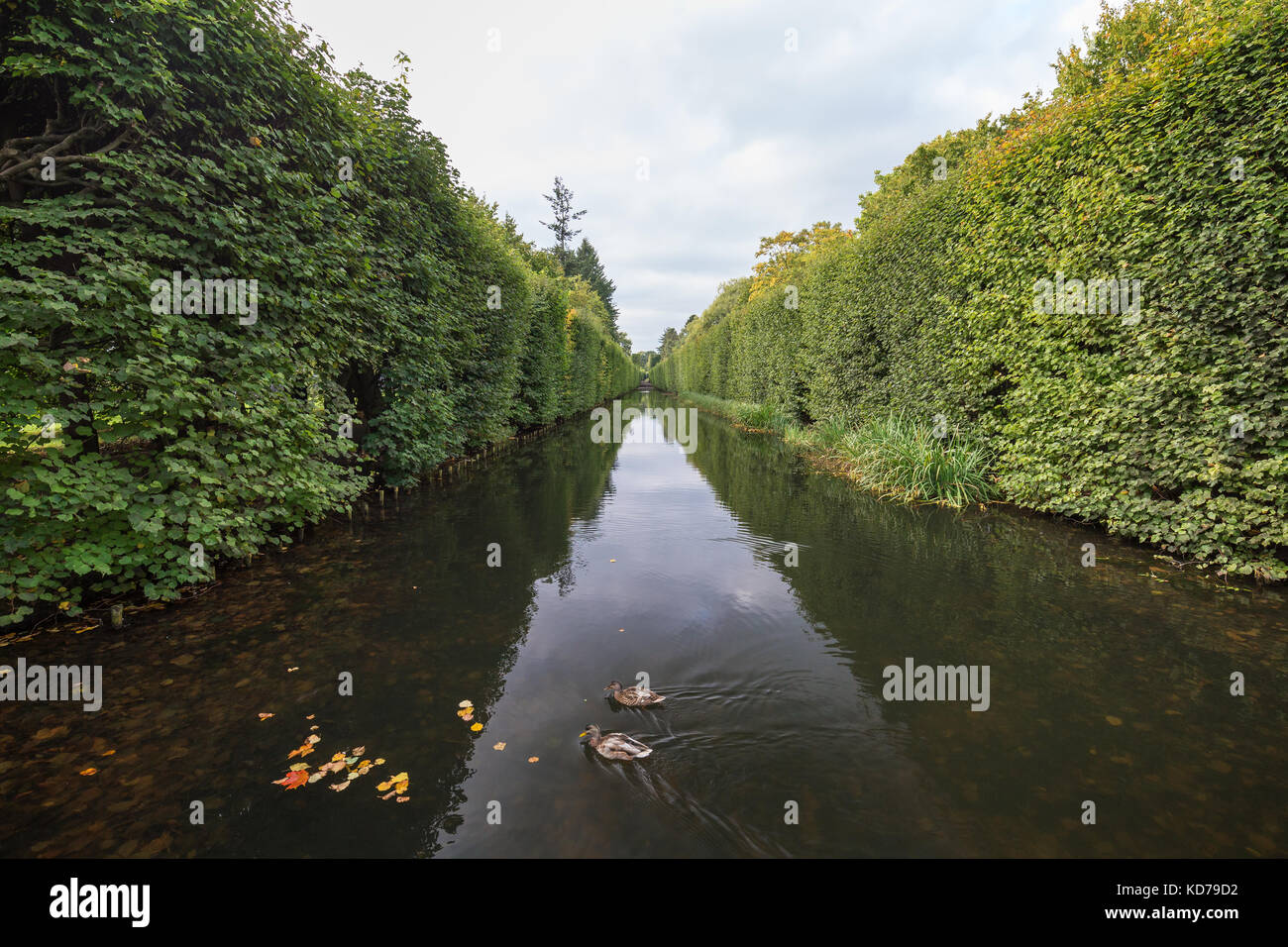View of a water canal and lush hedge at the Oliwa Park (Park Oliwski). It's a public park in Gdansk, Poland. Stock Photo