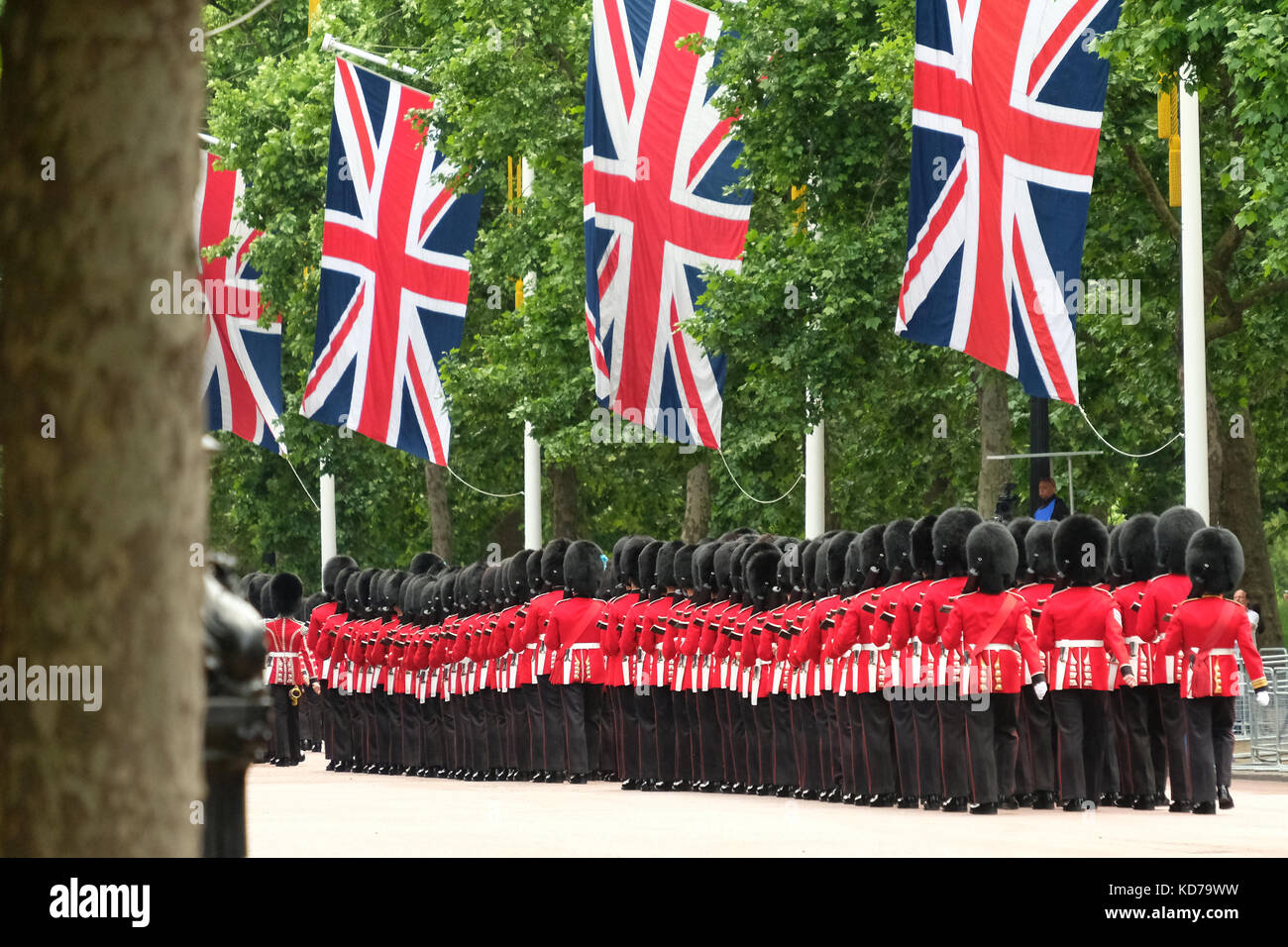Trooping the Colour ceremony, London Stock Photo Alamy