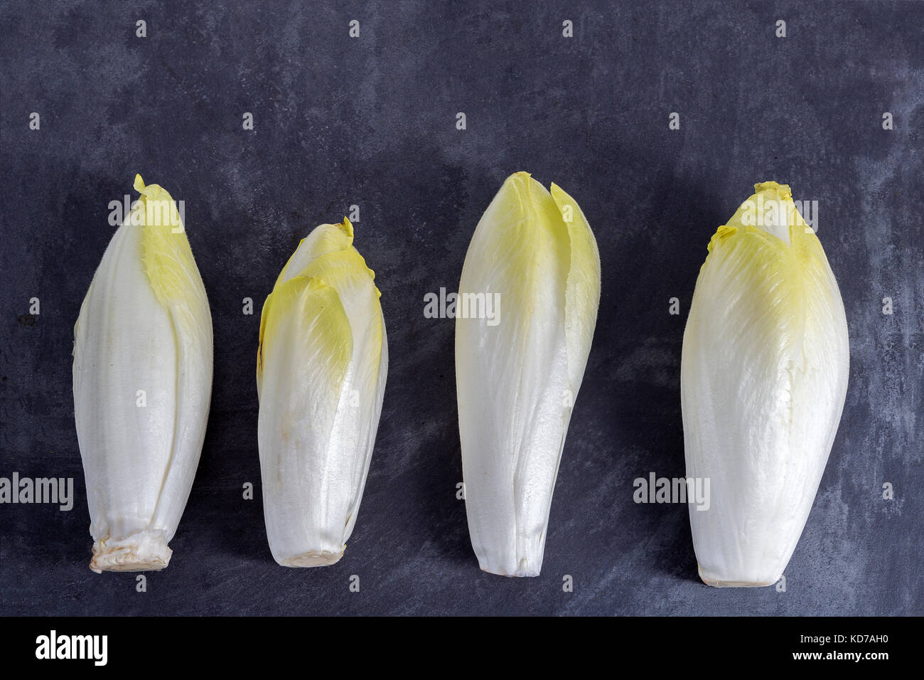 Endive Cichorium endivia with beautiful soft green leaves,aligned on slate table. Stock Photo