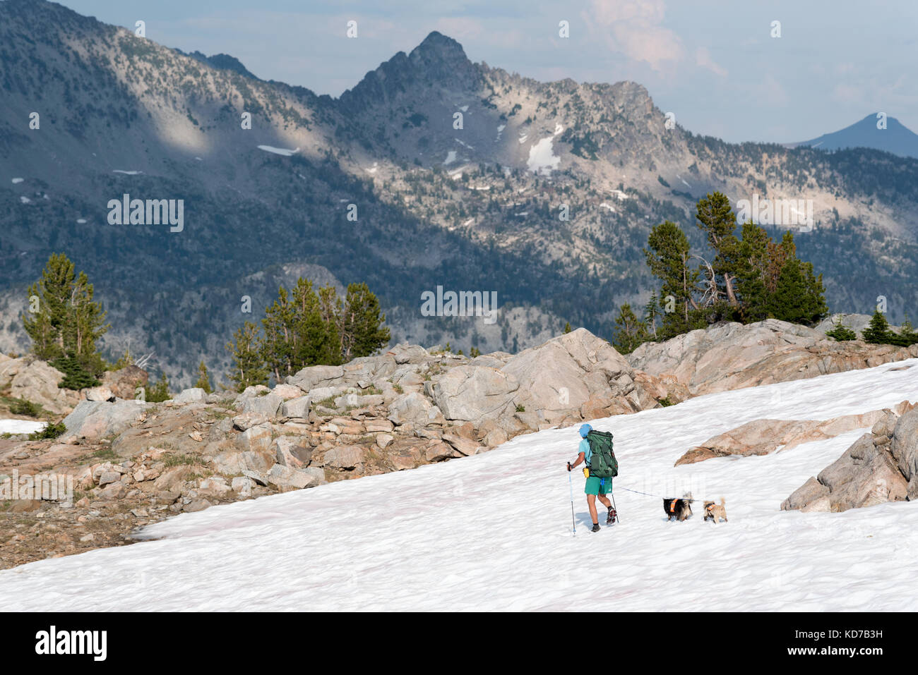 Hiking in wilderness with dogs hi-res stock photography and images - Alamy