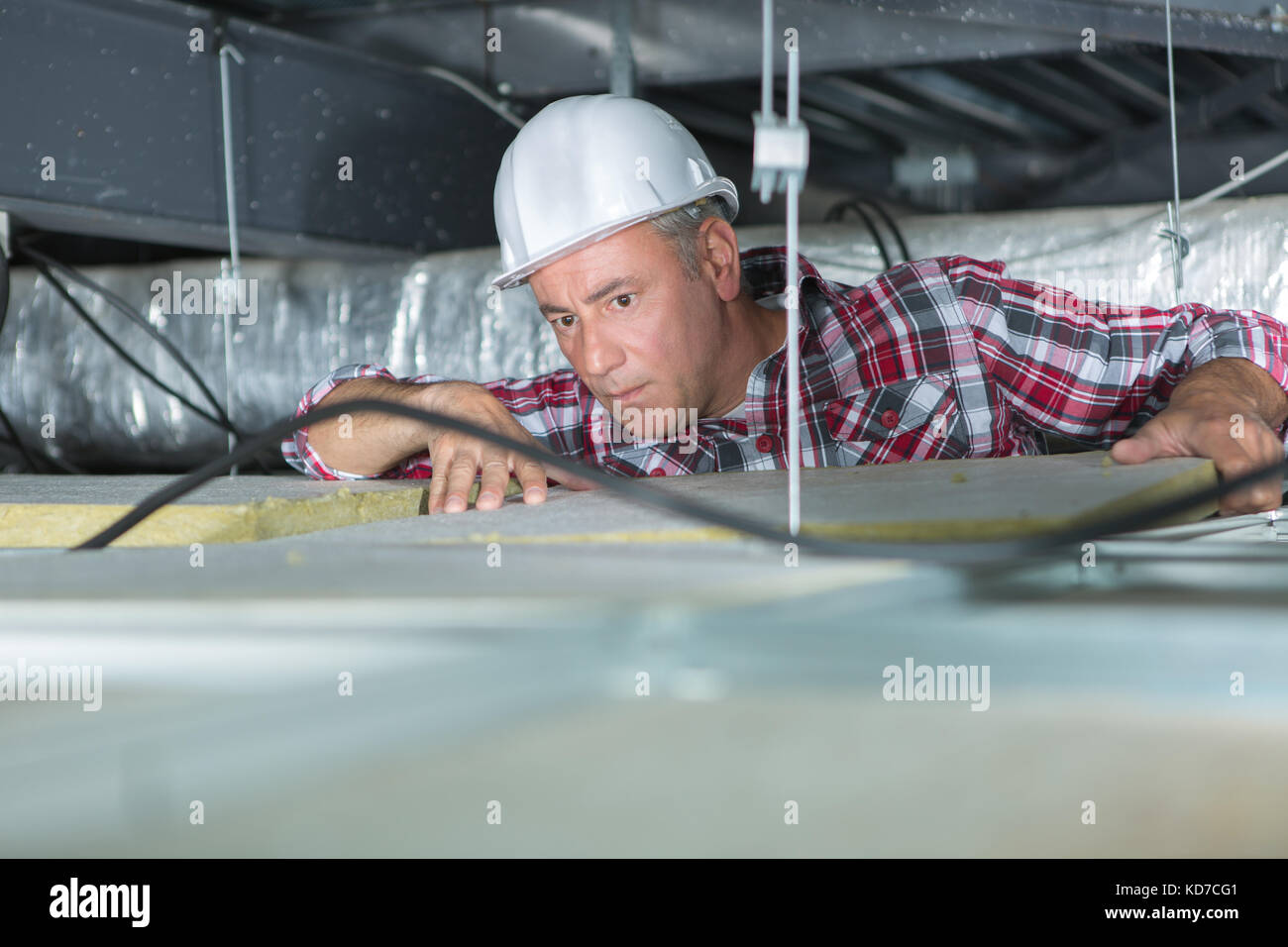 man in builder uniform hand up installing suspended ceiling Stock Photo ...