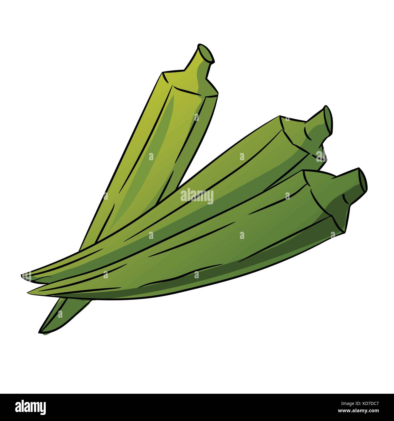 Hand drawn sketch of green Okra or Lady's Finger isolated on White Background, Cartoon Vector Illustration. Stock Vector