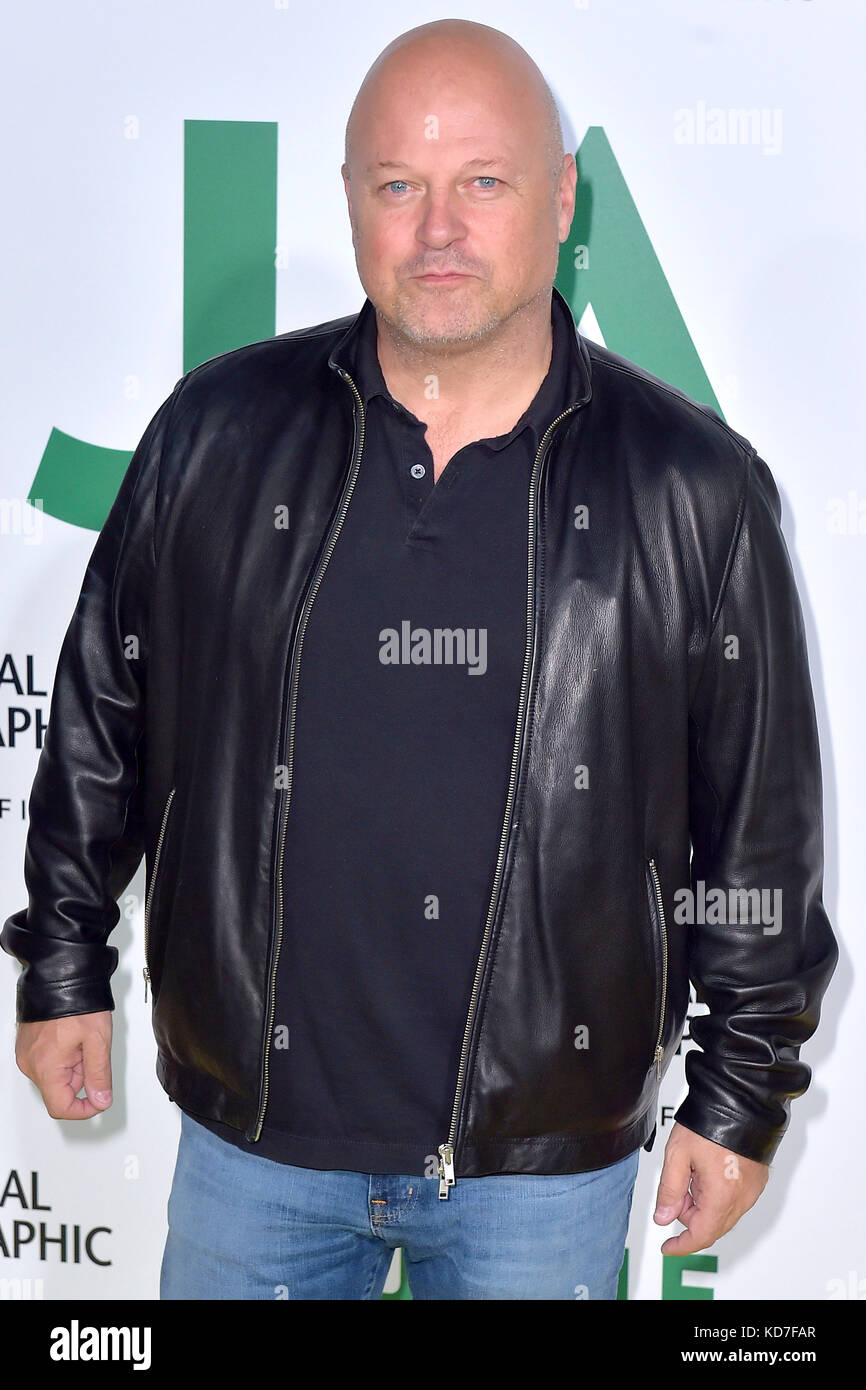 Michael Chiklis attends the premiere of National Geographic documentary films 'Jane' at the Hollywood Bowl on October 9, 2017 in Hollywood, California. Stock Photo