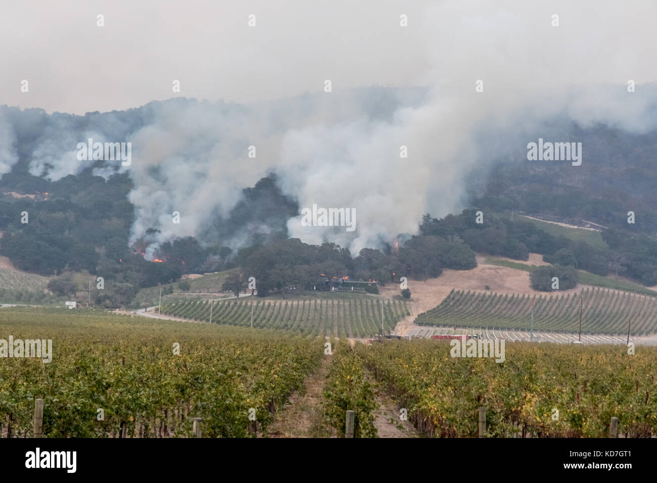Sonoma County, California, USA. 09th Oct, 2017. Wildfire burning across several counties in Northern California. Massive Destruction. Sonoma County, California, United States, Monday, 9th October, 2017. Devistation throughout county. Credit: Kathryn Capaldo/Alamy Live News Stock Photo