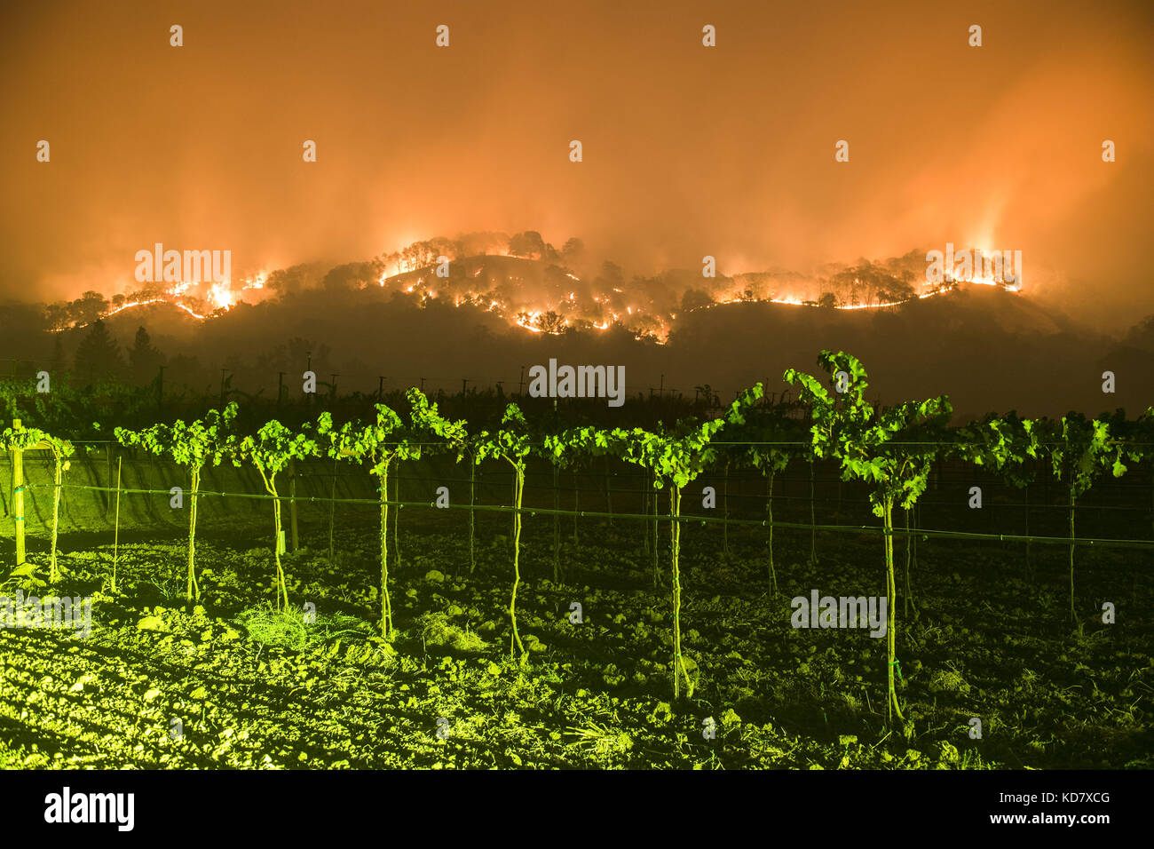 Napa County, USA. 10th Oct, 2017. The Atlas Fire burns east of Woodley Canyon Rd near vineyards late Tuesday evening in Napa County, CA.Long exposure image. The Atlas Fire burns in Napa and Solano Counties Monday evening October 10th, 2017. The fire was 3% contained and had burned 25,000 acres. Multiple structures were destroyed as crews battled strong winds and tinder dry vegetation after multiple fires burned in the area. Credit: Stuart Palley/ZUMA Wire/Alamy Live News Stock Photo