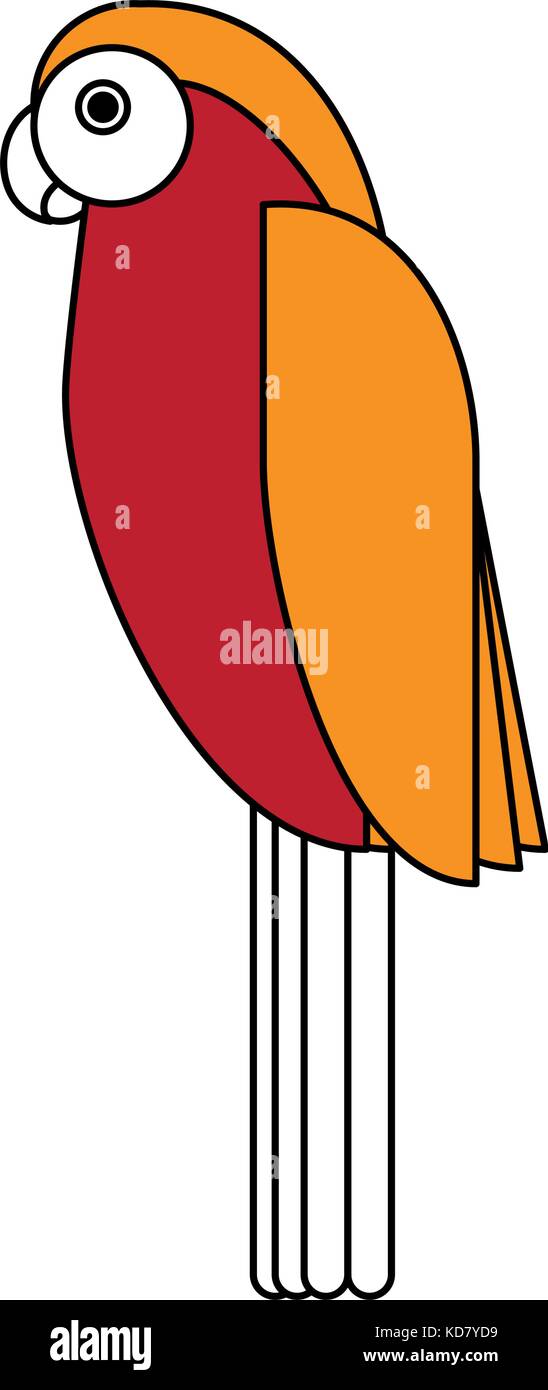 Beautiful parrot bird Stock Vector Image & Art - Alamy