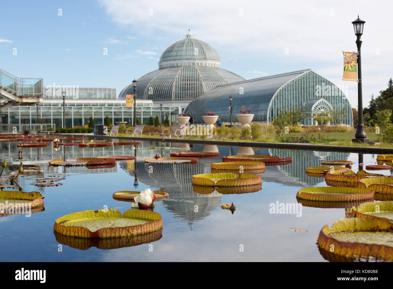 Marjorie McNeely Conservatory at Como Park Zoo and Conservatory in St