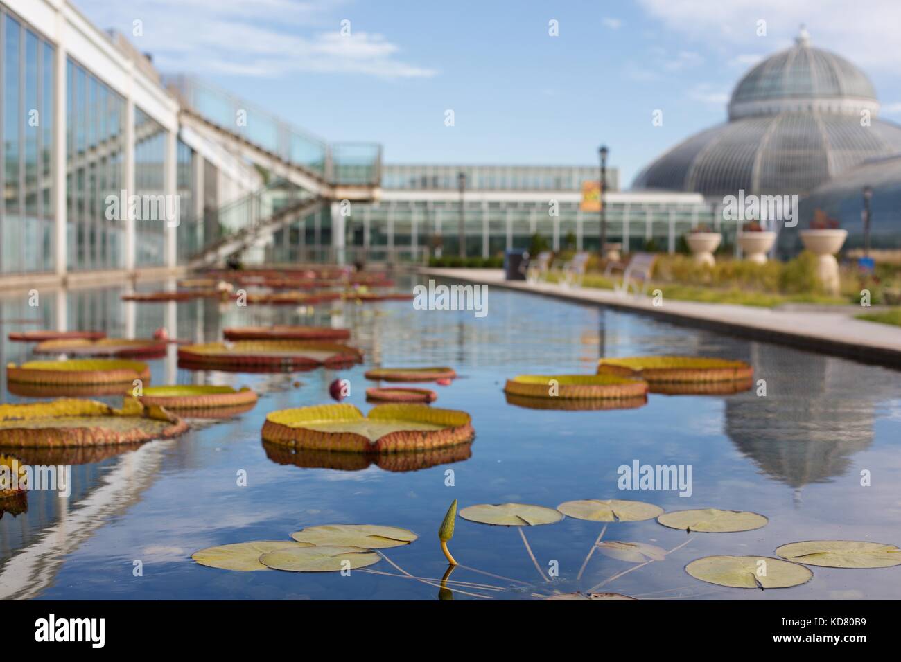 Marjorie McNeely Conservatory At Como Park Zoo And Conservatory In St ...