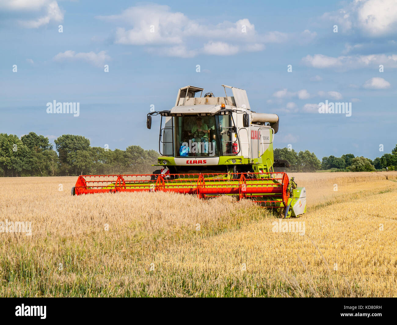 Combine harvester in a grain field in Niedersachsen near Barum, Elbmarsch, Germany. Stock Photo