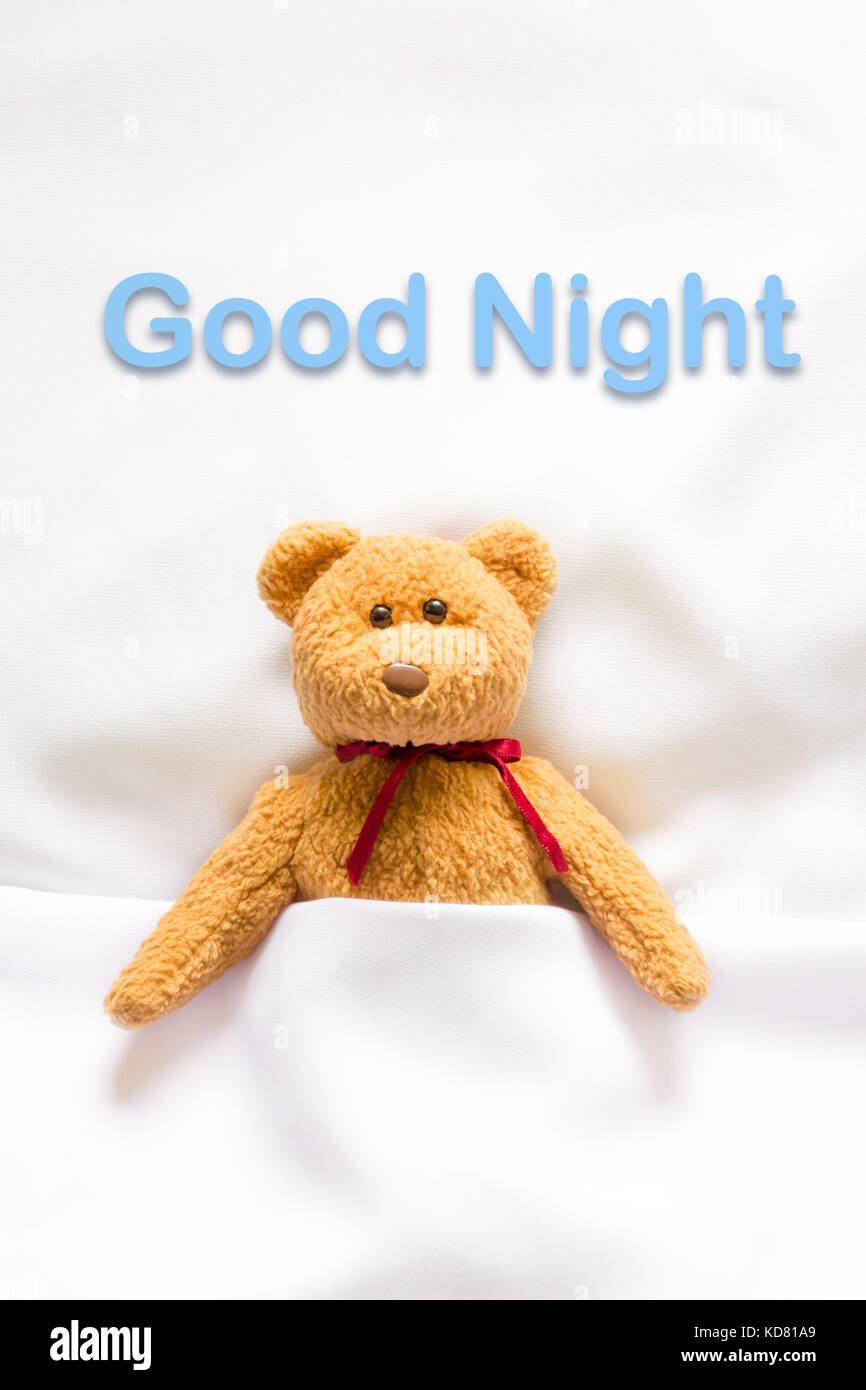 Teddy Bear lying in the white bed with message 