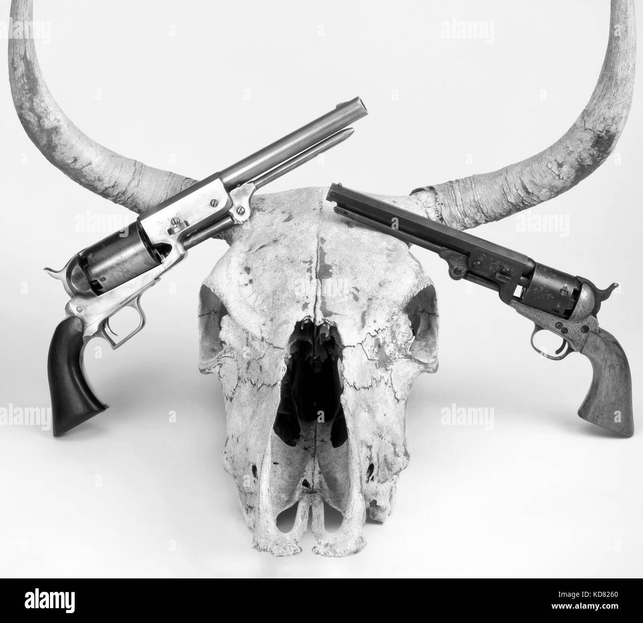 Antique cowboy pistols and cow skull in black and white. Stock Photo
