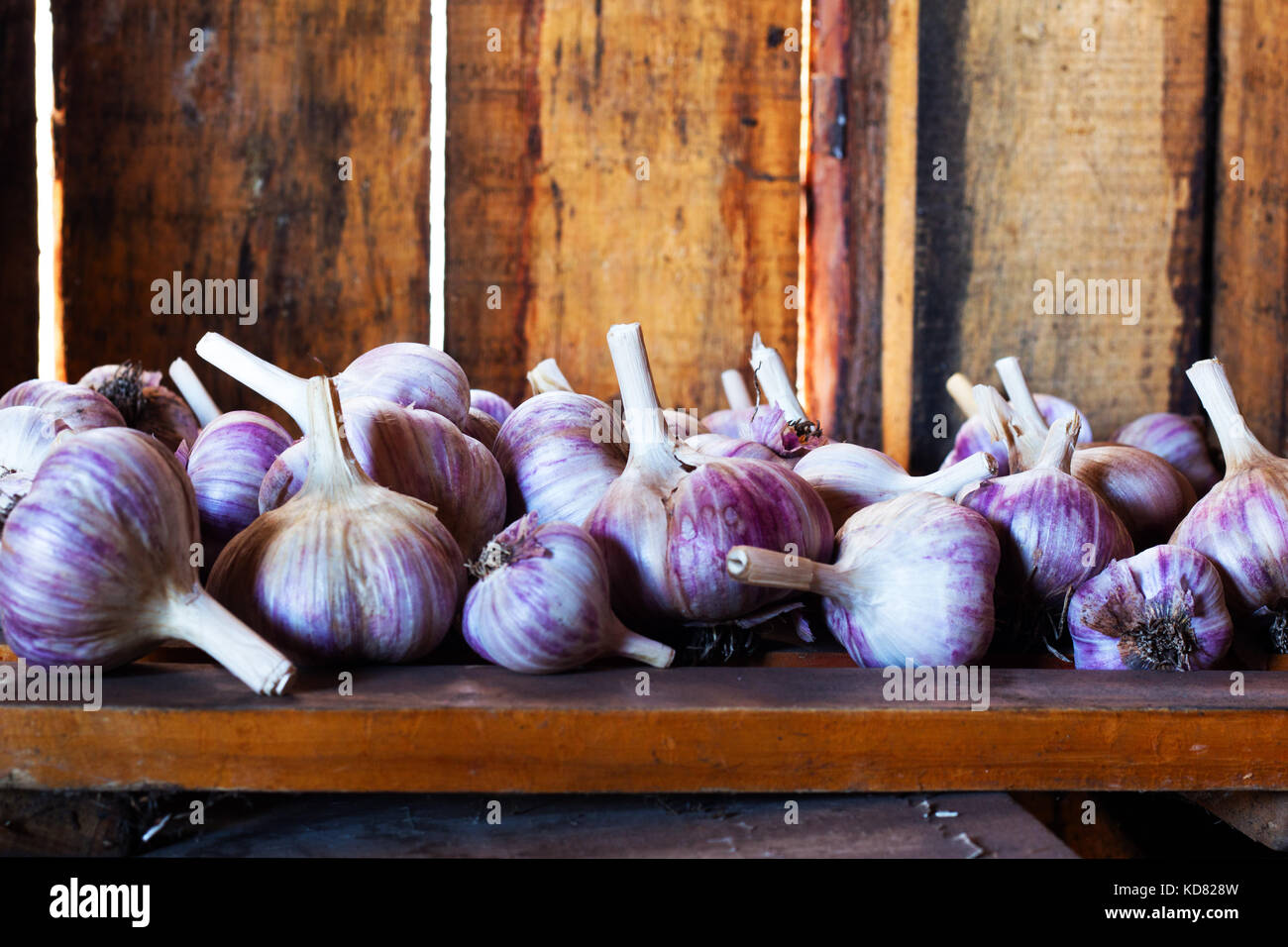 Organic garlic on a wooden background. Rustic style. Free space for ...