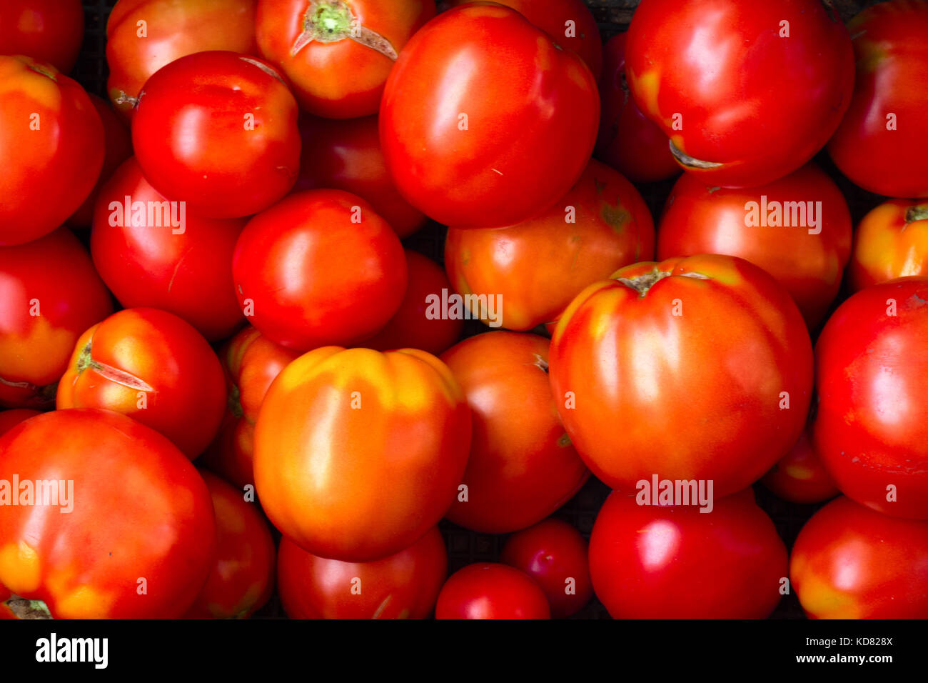 red tomatoes background. Group of tomatoes Stock Photo - Alamy