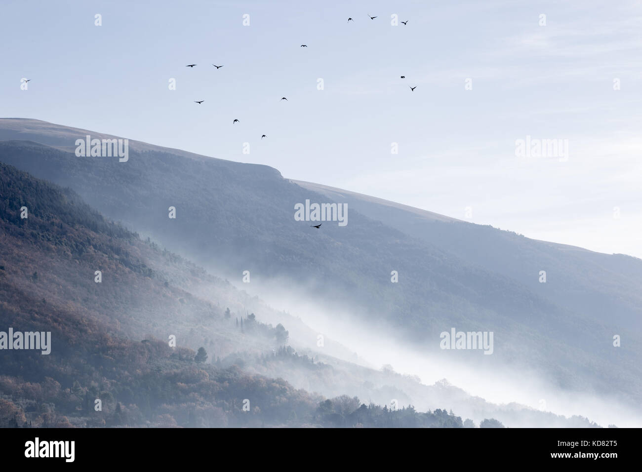 A flock of birds flying over mountains and hills covered by mist Stock Photo