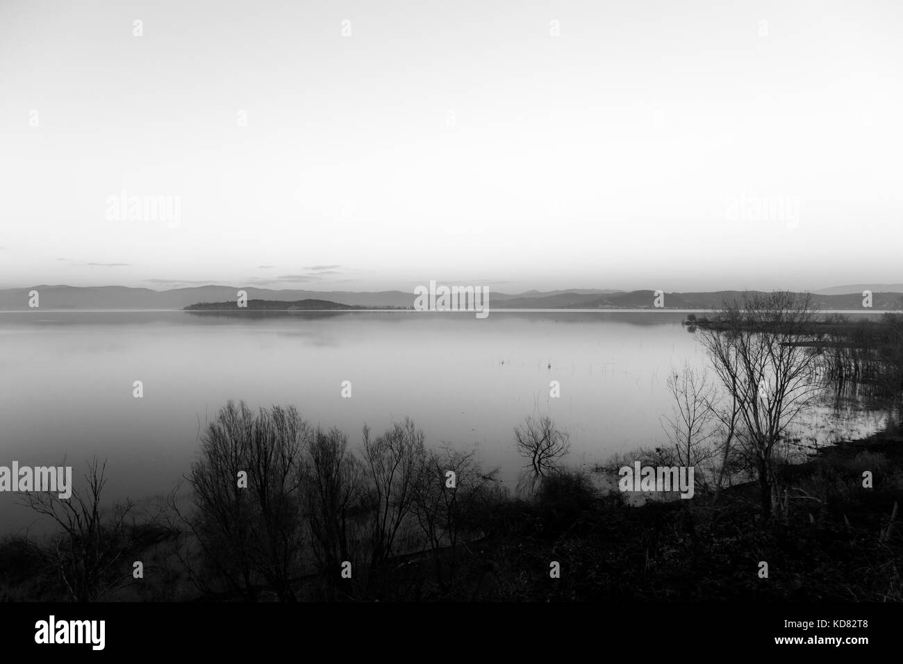 View of a lake at dusk, with plants and trees in the foreground and beautiful soft tones and water reflections Stock Photo