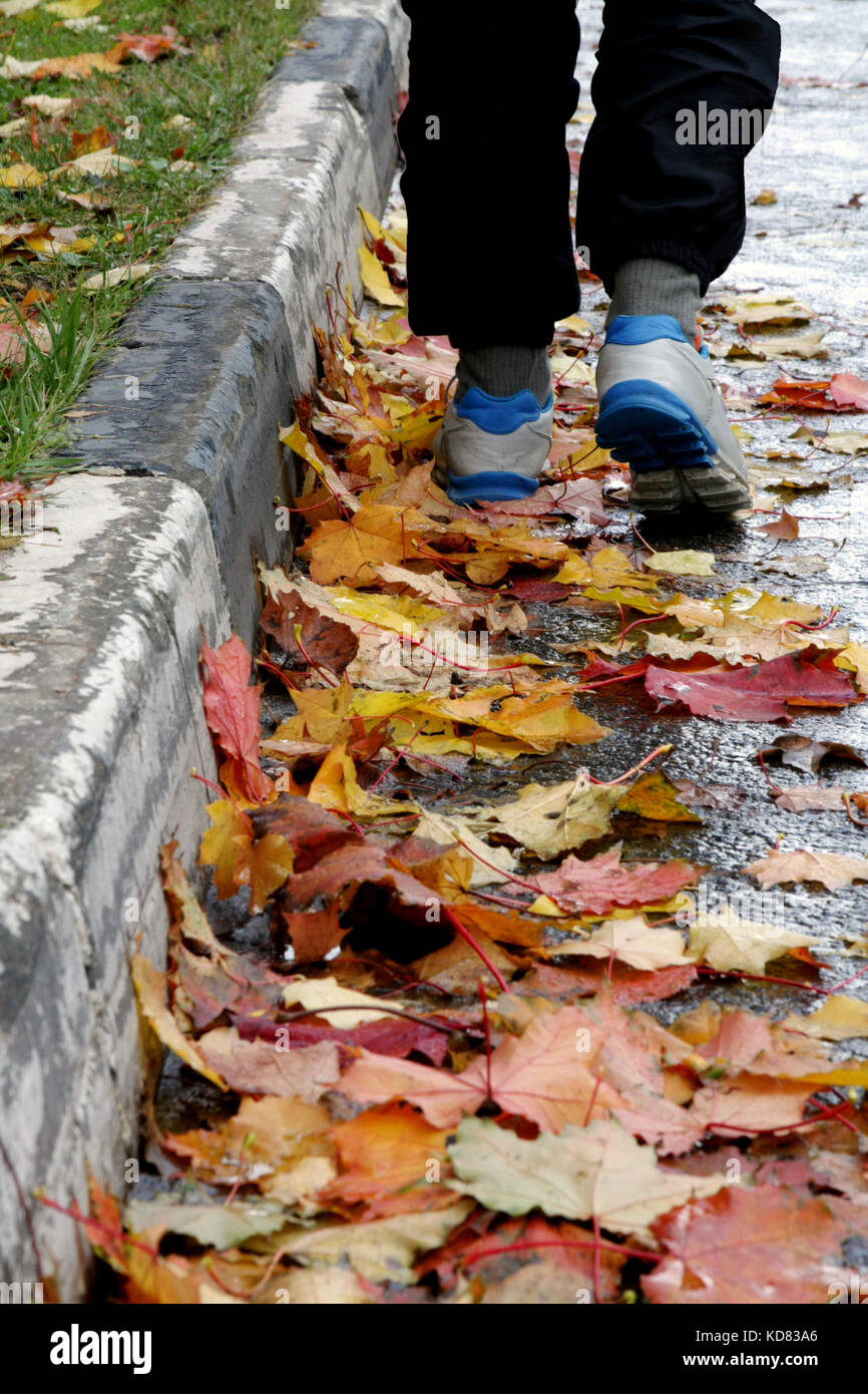 Autumn mood. Legs of man walking along the sidewalk through the colorful maple leaves lying on the road. Stock Photo