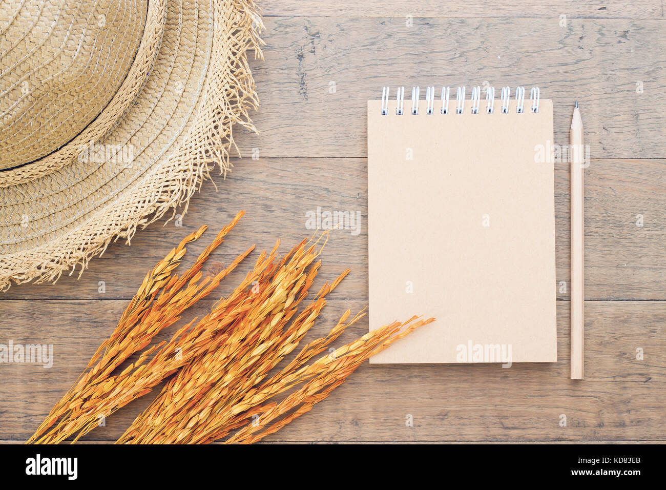 Blank notebook with straw hat and dried flower on wooden background ...