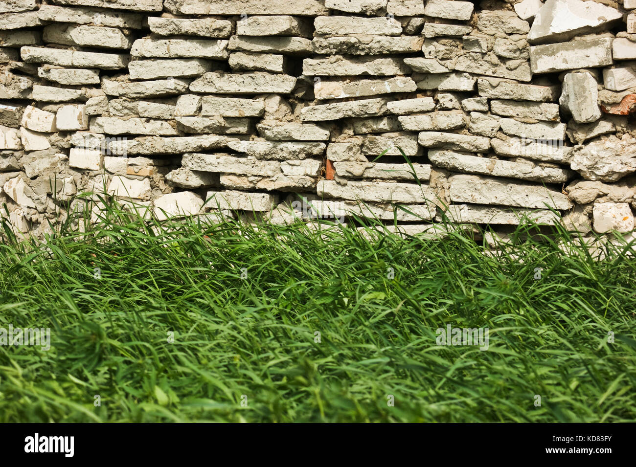 Stone wall and green grass Stock Photo - Alamy