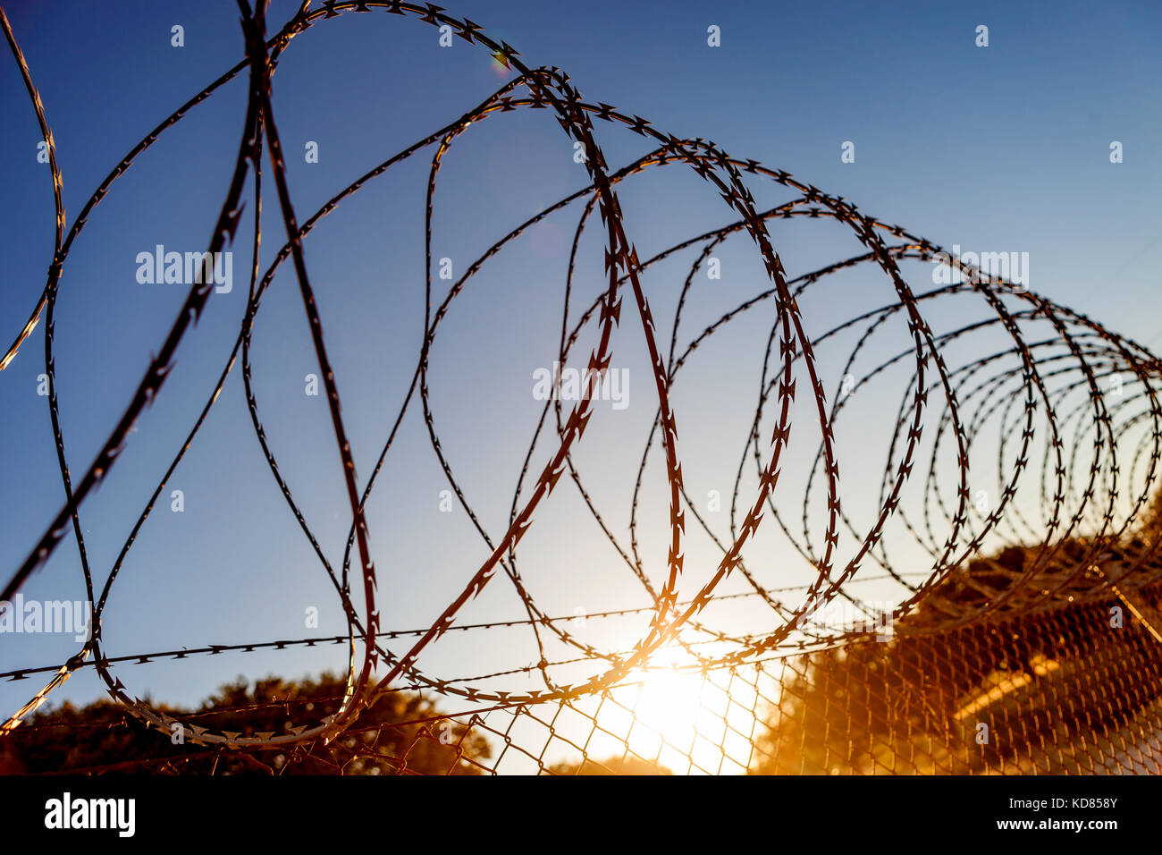 Fence with a barbed wire under a blue sky Stock Photo - Alamy