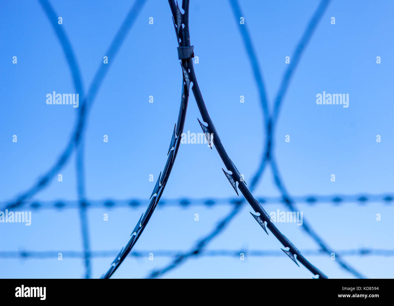 Fence with a barbed wire under a blue sky Stock Photo - Alamy