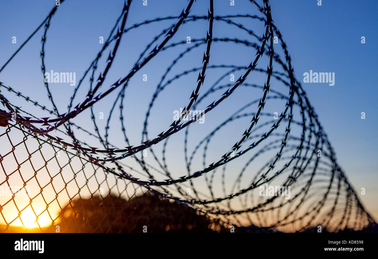 Fence with a barbed wire under a blue sky Stock Photo - Alamy