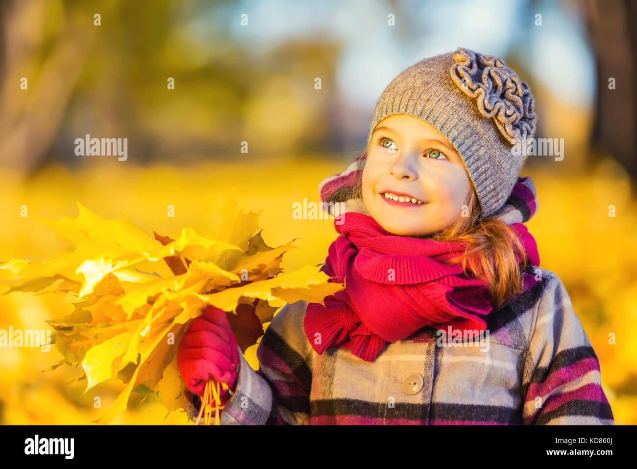Happy little girl with autumn leaves Stock Photo - Alamy