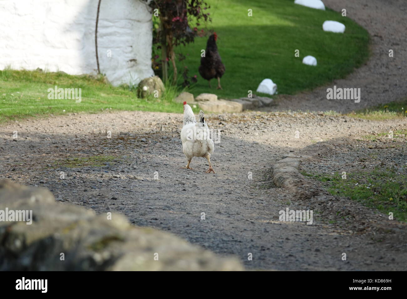 Old Bridge of Urr Stock Photo Alamy