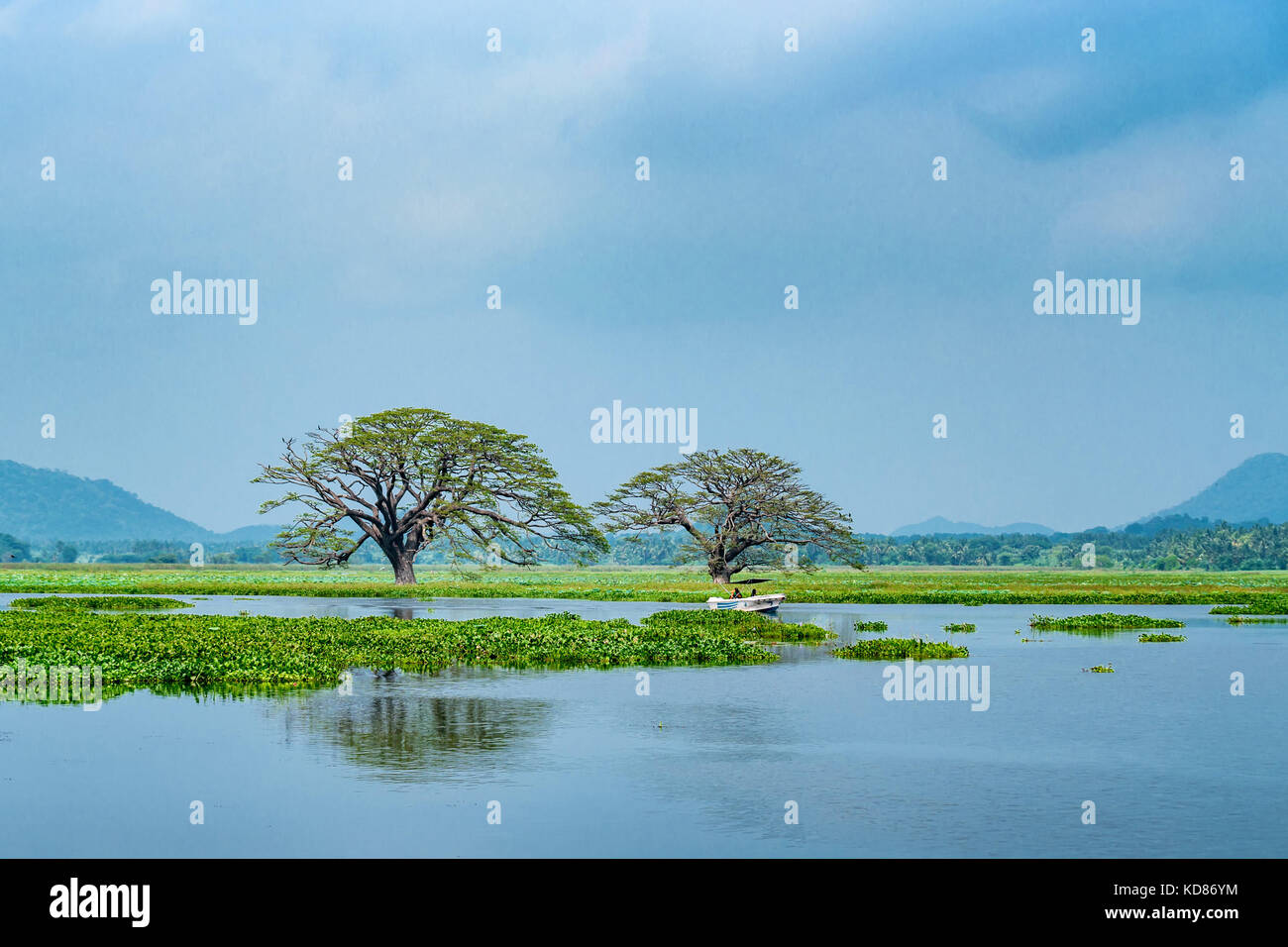 Scenic view of tropical lake with trees in water Stock Photo