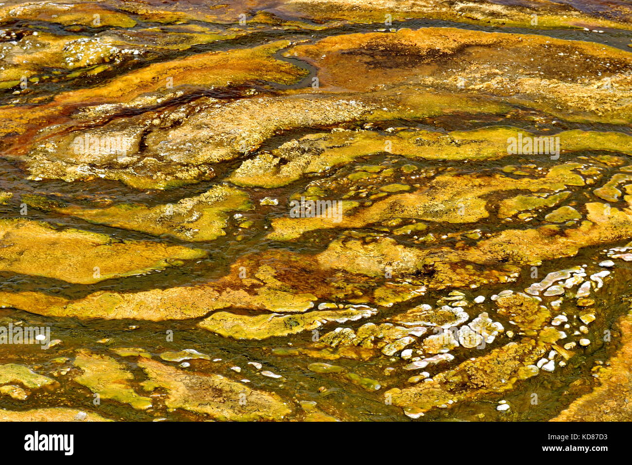 Yellowstone National Park Stock Photo - Alamy
