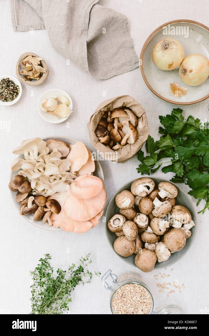 Ingredients for Mushroom Ragout Stock Photo - Alamy