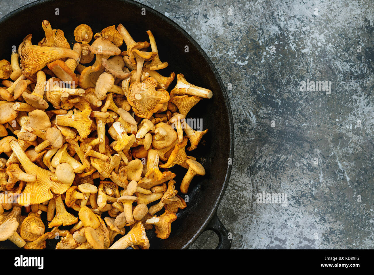 Heap of fresh uncooked forest mushrooms chanterelle in iron-cast pan over gray texture background. Top view with space Stock Photo